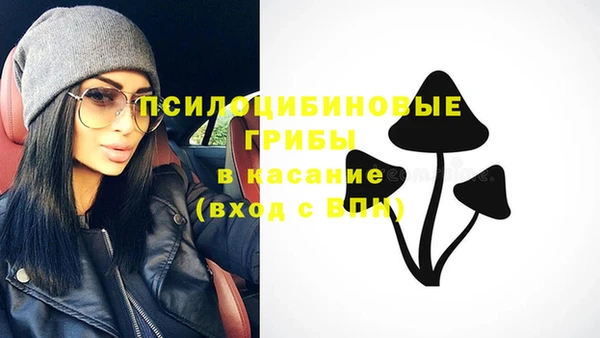 ешки Покачи