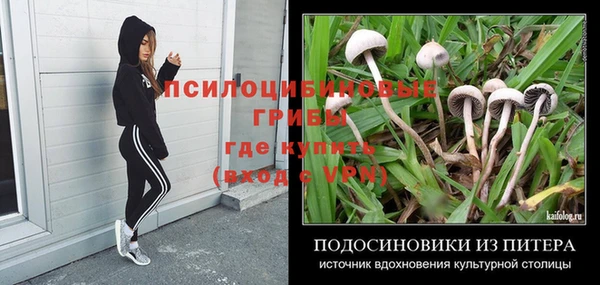 прущий лед Покровск