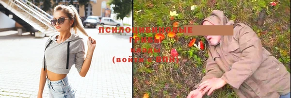 прущий лед Покровск
