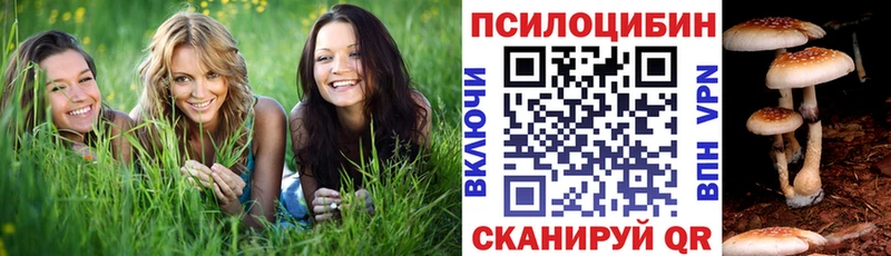 Псилоцибиновые грибы мухоморы  Протвино 